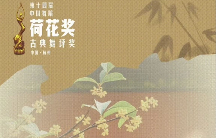再出发，荷花奖我们叕来啦
